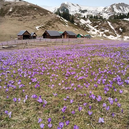 Katun Siska Medna Dolina Villa Berane Kültér fotó